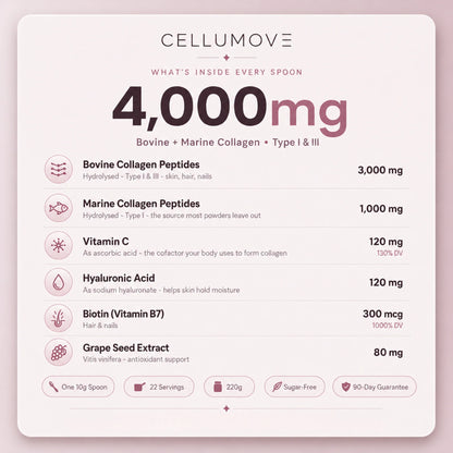 Multi Collagen Superblend — Chocolate | Firmer Skin, Fuller Hair, Stronger Nails
